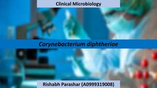 Corynebacterium diphtheriae
Clinical Microbiology
Rishabh Parashar (A0999319008)
 