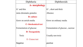Diphtheroids
Diphtheria
G+ , short and thick
Absence
Grow on ordinary media
Fermentation of glucose , sucrose
Usually non toxic
positive
A- morphology
G+ and thin
meta chromatic granules
B- culture
Grow on enrich media
C- biochemical test
Fermentation of glucose
D- Toxogenicity
Toxic
E- Urease test
Negative
 
