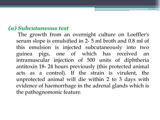 (a) Subcutaneous test
The growth from an overnight culture on Loeffler's
serum slope is emulsified in 2- 5 ml broth and 0.8 ml of
this emulsion is injected subcutaneously into two
guinea pigs, one of which has received an
intramuscular injection of 500 units of diphtheria
antitoxin 18- 24 hours previously (this protected animal
acts as a control). If the strain is virulent, the
unprotected animal will die within 2 to 3 days with
evidence of haemorrhage in the adrenal glands which is
the pathognomonic feature.
 