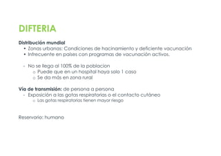 DIFTERIA
Distribución mundial
• Zonas urbanas: Condiciones de hacinamiento y deficiente vacunación
• Infrecuente en países con programas de vacunación activos.
- No se llega al 100% de la poblacion
o Puede que en un hospital haya solo 1 caso
o Se da más en zona rural
Vía de transmisión: de persona a persona
- Exposición a las gotas respiratorias o el contacto cutáneo
o Las gotas respiratorias tienen mayor riesgo
Reservorio: humano
 