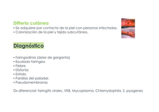 Difteria cutánea
▪ Se adquiere por contacto de la piel con personas infectadas.
▪ Colonización de la piel y tejido subcutáneo.
Diagnóstico
▪ Faringodinia (dolor de garganta)
▪ Exudado faríngeo
▪ Fiebre
▪ Disfonía
▪ Estrido
▪ Parálisis del paladar.
▪ Pseudomembranas
Dx diferencial: faringitis virales, VEB, Mycoplasma, Chlamydophila, S. pyogenes
 