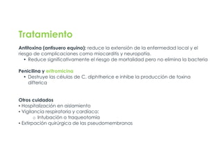Tratamiento
Antitoxina (antisuero equino): reduce la extensión de la enfermedad local y el
riesgo de complicaciones como miocarditis y neuropatía.
• Reduce significativamente el riesgo de mortalidad pero no elimina la bacteria
Penicilina y eritromicina
• Destruye las células de C. diphtherice e inhibe la producción de toxina
difterica
Otros cuidados
▪ Hospitalización en aislamiento
▪ Vigilancia respiratoria y cardíaca:
o Intubación o traqueotomía
▪ Extirpación quirúrgica de las pseudomembranas
 