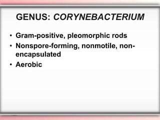 Corynebacterium (1) | PDF