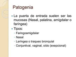 Patogenia
 La puerta de entrada suelen ser las
mucosas (Nasal, palatina, amígdalar o
faríngea)
 Tipos:
◦ Faringoamigdalar
◦ Nasal
◦ Laríngea o traqueo bronquial
◦ Conjuntival, vaginal, oído (exepcional)
 