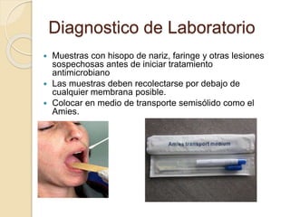 Diagnostico de Laboratorio
 Muestras con hisopo de nariz, faringe y otras lesiones
sospechosas antes de iniciar tratamiento
antimicrobiano
 Las muestras deben recolectarse por debajo de
cualquier membrana posible.
 Colocar en medio de transporte semisólido como el
Amies.
 