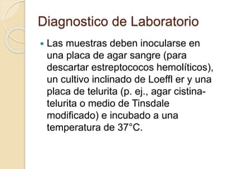Diagnostico de Laboratorio
 Las muestras deben inocularse en
una placa de agar sangre (para
descartar estreptococos hemolíticos),
un cultivo inclinado de Loeffl er y una
placa de telurita (p. ej., agar cistina-
telurita o medio de Tinsdale
modificado) e incubado a una
temperatura de 37°C.
 