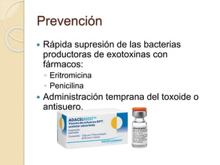 Prevención
 Rápida supresión de las bacterias
productoras de exotoxinas con
fármacos:
◦ Eritromicina
◦ Penicilina
 Administración temprana del toxoide o
antisuero.
 