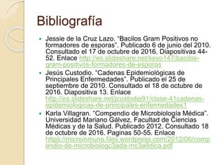 Bibliografía
 Jessie de la Cruz Lazo. “Bacilos Gram Positivos no
formadores de esporas”. Publicado 6 de junio del 2010.
Consultado el 17 de octubre de 2016. Diapositivas 44-
52. Enlace http://es.slideshare.net/kevo147/bacilos-
gram-positivos-formadores-de-esporas
 Jesús Custodio. “Cadenas Epidemiológicas de
Principales Enfermedades”. Publicado el 25 de
septiembre de 2010. Consultado el 18 de octubre de
2016. Diapositiva 13. Enlace
http://es.slideshare.net/jcustodio91/clase-41cadenas-
epidemiologicas-de-principales-enfermedades1
 Karla Villagran. “Compendio de Microbiología Médica”.
Universidad Mariano Gálvez, Facultad de Ciencias
Médicas y de la Salud. Publicado 2012. Consultado 18
de octubre de 2016. Paginas 50-55. Enlace
https://microinmuno.files.wordpress.com/2012/06/comp
endio-de-microbiologc3ada-mc3a9dica.pdf
 