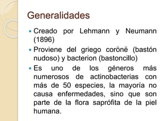 Generalidades
 Creado por Lehmann y Neumann
(1896)
 Proviene del griego corönë (bastón
nudoso) y bacterion (bastoncillo)
 Es uno de los géneros más
numerosos de actinobacterias con
más de 50 especies, la mayoría no
causa enfermedades, sino que son
parte de la flora saprófita de la piel
humana.
 