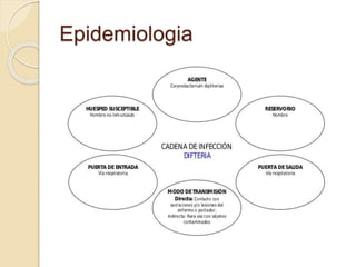 Epidemiologia
 