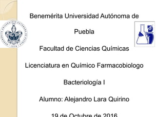 Benemérita Universidad Autónoma de
Puebla
Facultad de Ciencias Químicas
Licenciatura en Químico Farmacobiologo
Bacteriología I
Alumno: Alejandro Lara Quirino
 