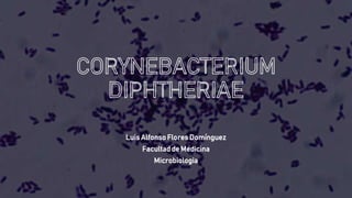 Luis Alfonso Flores Domínguez
Facultadde Medicina
Microbiologia
 