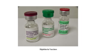 Diphtheria Vaccines
 