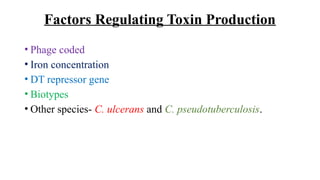 Factors Regulating Toxin Production
• Phage coded
• Iron concentration
• DT repressor gene
• Biotypes
• Other species- C. ulcerans and C. pseudotuberculosis.
 