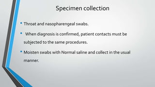 Specimen collection
• Throat and nasopharengeal swabs.
• When diagnosis is confirmed, patient contacts must be
subjected to the same procedures.
• Moisten swabs with Normal saline and collect in the usual
manner.
 
