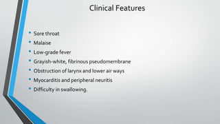 Clinical Features
• Sore throat
• Malaise
• Low-grade fever
• Grayish-white, fibrinous pseudomembrane
• Obstruction of larynx and lower air ways
• Myocarditis and peripheral neuritis
• Difficulty in swallowing.
 