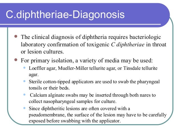 Corynebacterium diptheriae(Microbiology)