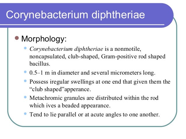 Corynebacterium diptheriae(Microbiology)