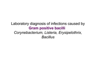 Laboratory diagnosis of infections caused by
Gram positive bacilli
Corynebacterium, Listeria, Erysipelothrix,
Bacillus
 
