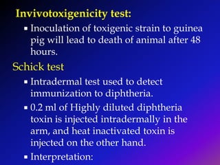Invivotoxigenicity test:
 Inoculation of toxigenic strain to guinea
pig will lead to death of animal after 48
hours.
Schick test
 Intradermal test used to detect
immunization to diphtheria.
 0.2 ml of Highly diluted diphtheria
toxin is injected intradermally in the
arm, and heat inactivated toxin is
injected on the other hand.
 Interpretation:
 