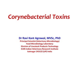 Corynebacterial Toxins
Dr Ravi Kant Agrawal, MVSc, PhD
Principal Scientist (Veterinary Microbiology)
Food Microbiology Laboratory
Division of Livestock Products Technology
ICAR-Indian Veterinary Research Institute
Izatnagar 243122 (UP) India
 