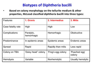 Biotypes of Diphtheria bacilli
• Based on colony morphology on the tellurite medium & other
properties, McLeod classified diphtheria bacilli into three types:
Features 1. Gravis 2. Intermedius 3. Mitis
Case fatality rate High High Low
Complications Paralytic,
hemorrhagic
Hemorrhagic Obstructive
Predominance In epidemic areas Epidemic areas Endemic areas
Spread Rapid Rapidly than mitis Less rapid
Colony on TBA ‘Daisy head” colony ‘Frog’s egg colony ‘Poached egg’
colony
Hemolysis Variable Nonhemolytic Usually hemolytic
 