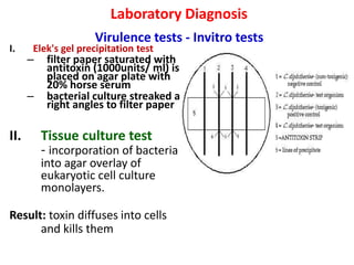 Laboratory Diagnosis
Virulence tests - Invitro tests
I. Elek's gel precipitation test
– filter paper saturated with
antitoxin (1000units/ ml) is
placed on agar plate with
20% horse serum
– bacterial culture streaked at
right angles to filter paper
II. Tissue culture test
- incorporation of bacteria
into agar overlay of
eukaryotic cell culture
monolayers.
Result: toxin diffuses into cells
and kills them
 