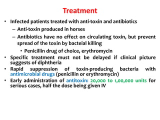 Treatment
• Infected patients treated with anti-toxin and antibiotics
– Anti-toxin produced in horses
– Antibiotics have no effect on circulating toxin, but prevent
spread of the toxin by bacteial killing
• Penicillin drug of choice, erythromycin
• Specific treatment must not be delayed if clinical picture
suggests of diphtheria
• Rapid suppression of toxin-producing bacteria with
antimicrobial drugs (penicillin or erythromycin)
• Early administration of antitoxin: 20,000 to 1,00,000 units for
serious cases, half the dose being given IV
 