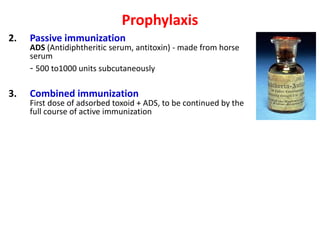 Prophylaxis
2. Passive immunization
ADS (Antidiphtheritic serum, antitoxin) - made from horse
serum
- 500 to1000 units subcutaneously
3. Combined immunization
First dose of adsorbed toxoid + ADS, to be continued by the
full course of active immunization
 