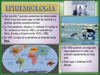  Han ocurrido 7 grandes pandemias de cólera desde
1816, lo que han dado lugar a miles de muertes y a
grandes cambios socioeconómicos.
 La 7ma pandemia, debida a V. cholerae O1 biotipo el
Tor, comenzó en Asia en 1961 y se extendió por
áfrica, Europa y Oceanía entre 1970 y 1980
 En 1991, la cepa de la pandemia se extendió hasta
Perú.
 En 1992 aparecio una segunda
cepa epidemica en india y se
extendio rapidamente por toda
asia
 Esta cepa v cholerae O139
Bengal
 