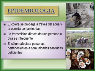  El cólera se propaga a través del agua y
la comida contaminadas.
 La transmisión directa de una persona a
otra es infrecuente
 El cólera afecta a personas
pertenecientes a comunidades sanitarias
deficientes
 