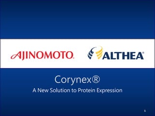 Corynex®
A New Solution to Protein Expression
1
 