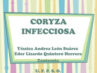 CORYZA INFECCIOSA Yéssica Andrea León Suárez  Eder Lizardo Quintero Herrera Zootecnia U. F. P. S. O. 