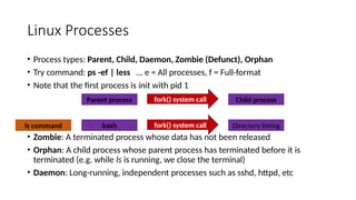 Orphan Linux Command Introduction to Shell Scripting and Linux Process Management | PPTX