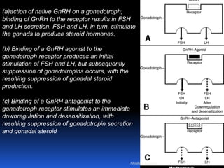 (a)action of native GnRH on a gonadotroph;
binding of GnRH to the receptor results in FSH
and LH secretion. FSH and LH, in turn, stimulate
the gonads to produce steroid hormones.
(b) Binding of a GnRH agonist to the
gonadotroph receptor produces an initial
stimulation of FSH and LH, but subsequently
suppression of gonadotropins occurs, with the
resulting suppression of gonadal steroid
production.
(c) Binding of a GnRH antagonist to the
gonadotroph receptor stimulates an immediate
downregulation and desensitization, with
resulting suppression of gonadotropin secretion
and gonadal steroid
Aboubakr Elnashar
 