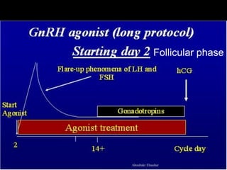Follicular phase
Aboubakr Elnashar
 
