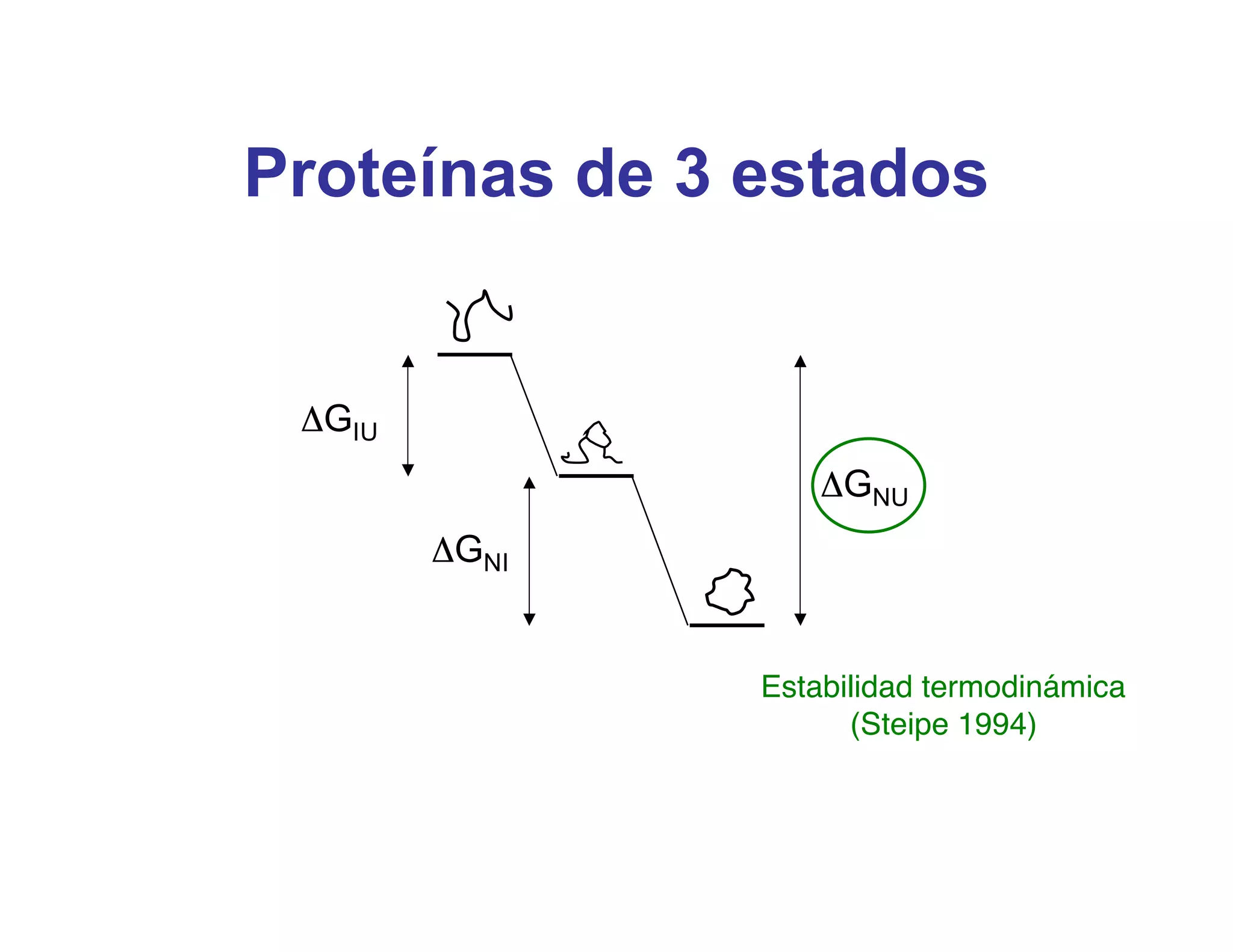 Proteínas de 3 estados


 ΔGIU
                   ΔGNU
        ΔGNI


               Estabilidad termodinámica
                     (Steipe 1994)
 