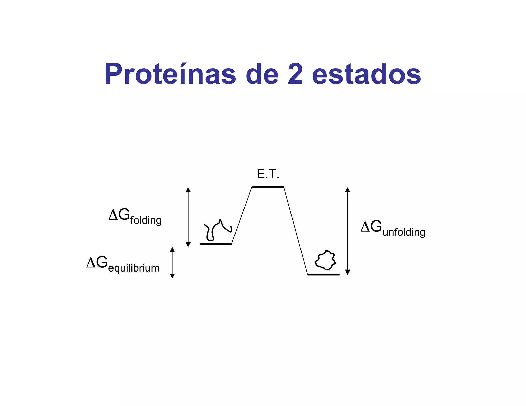 Proteínas de 2 estados


                E.T.


   ΔGfolding
                       ΔGunfolding

ΔGequilibrium
 