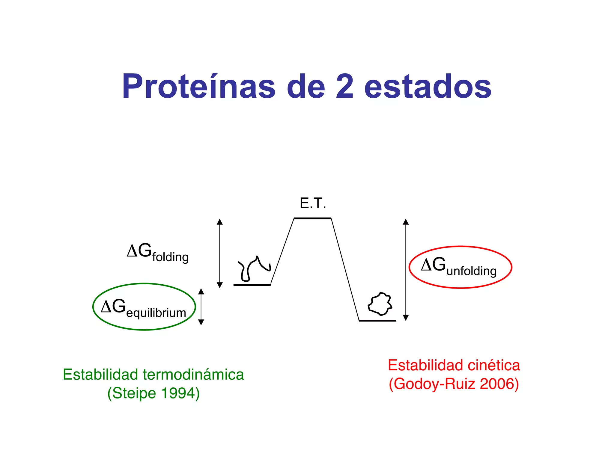 Proteínas de 2 estados


                            E.T.


        ΔGfolding
                                       ΔGunfolding

     ΔGequilibrium


                                   Estabilidad cinética
Estabilidad termodinámica
                                   (Godoy-Ruiz 2006)
      (Steipe 1994)
 
