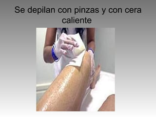 Se depilan con pinzas y con cera caliente  