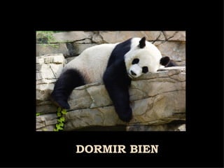 DORMIR BIEN 