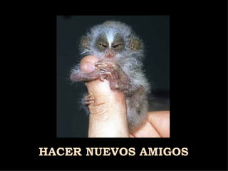 HACER NUEVOS AMIGOS 