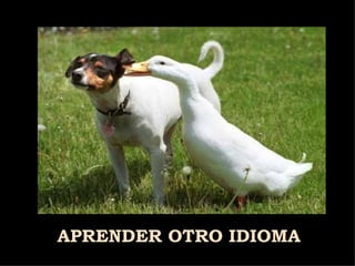 APRENDER   OTRO IDIOMA 