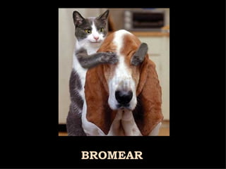 BROMEAR  