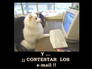 Y ... ¡¡ CONTESTAR  LOS e-mail !! 