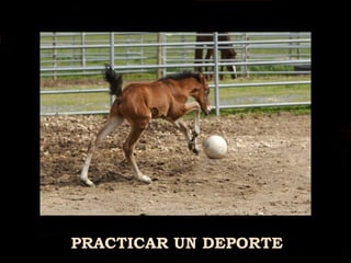 PRACTICAR UN DEPORTE 