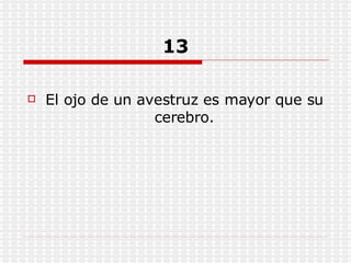 13 El ojo de un avestruz es mayor que su cerebro. 