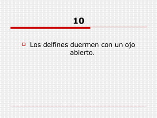 10 Los delfines duermen con un ojo abierto. 