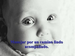 Manejar por un camino lindo acompañado. 