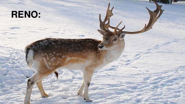 Cosas con la letra r